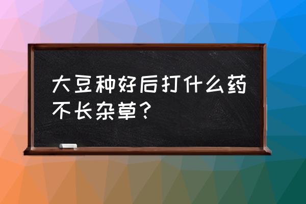 大豆播种后用打封闭除草剂吗 大豆种好后打什么药不长杂草？