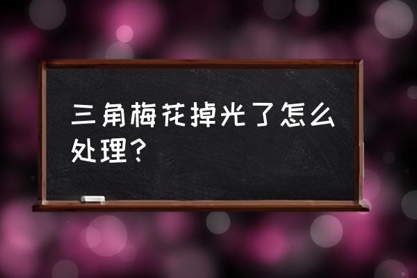 三角梅花没长大就掉了怎么办 三角梅花掉光了怎么处理? 三角梅花没长大就掉了怎么办 三角梅花掉光了怎么处理?