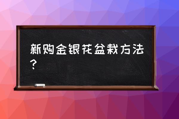 金银花怎么种花盆 新购金银花盆栽方法？