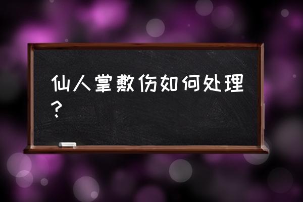 仙人掌外敷都怎么处理 仙人掌敷伤如何处理？