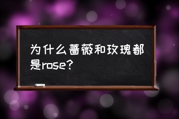 为什么玫瑰和蔷薇英文一样 为什么蔷薇和玫瑰都是rose？