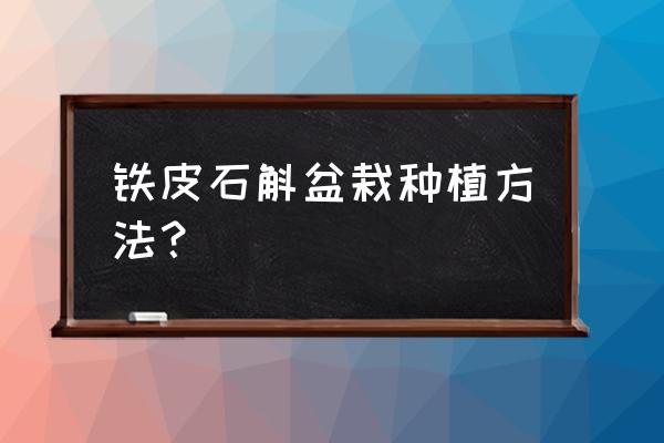 铁皮石斛盆栽怎么养植 铁皮石斛盆栽种植方法? 铁皮石斛盆栽怎么养植 铁皮石斛盆栽种植方法?