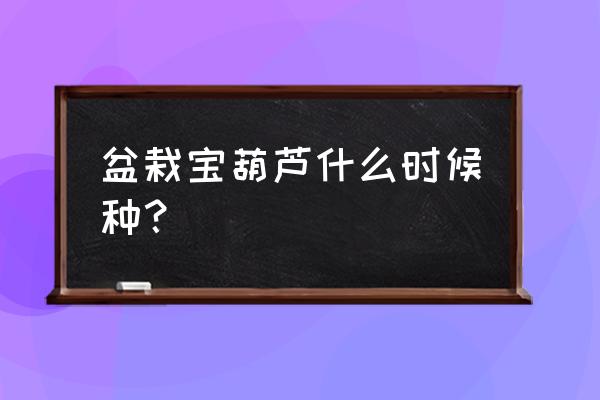 一个花盆种几粒葫芦籽 盆栽宝葫芦什么时候种? 一个花盆种几粒葫芦籽 盆栽宝葫芦什么时候种?