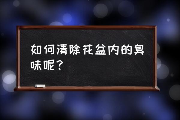 花盆土全是化肥味怎么办 如何清除花盆内的臭味呢? 花盆土全是化肥味怎么办 如何清除花盆内的臭味呢?