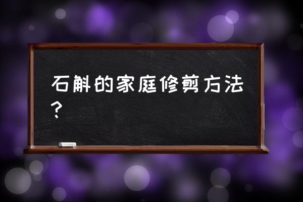 盆栽铁皮石斛什么时候剪石斛 石斛的家庭修剪方法? 盆栽铁皮石斛什么时候剪石斛 石斛的家庭修剪方法?