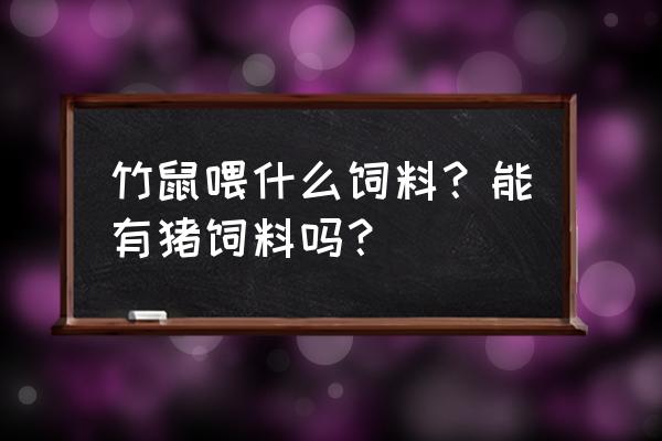 竹鼠饲料多少钱一斤 竹鼠喂什么饲料?能有猪饲料吗? 竹鼠饲料多少钱一斤 竹鼠喂什么饲料?能有猪饲料吗?