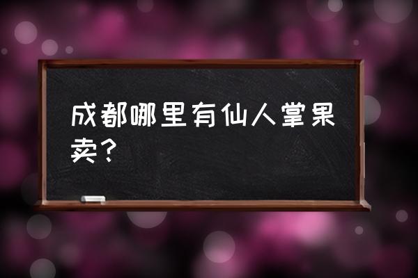 仙人掌果子多少钱一斤 成都哪里有仙人掌果卖？