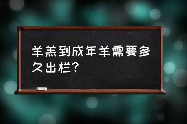 羊要养多久才可以出栏 羊羔到成年羊需要多久出栏？