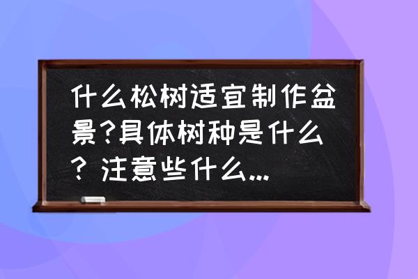 什么松树适合盆景 什么松树适宜制作盆景?具体树种是什么？注意些什么?且体点有加分？