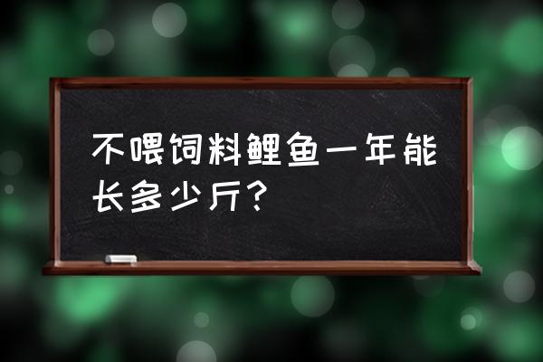 鱼不喂饲料一年能长多大 不喂饲料鲤鱼一年能长多少斤？