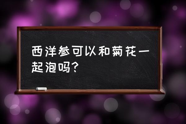菊花和西洋参能一起泡水喝吗 西洋参可以和菊花一起泡吗? 菊花和西洋参能一起泡水喝吗 西洋参可以和菊花一起泡吗?