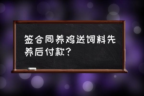 蚌埠有合同养鸡吗 签合同养鸡送饲料先养后付款? 蚌埠有合同养鸡吗 签合同养鸡送饲料先养后付款?