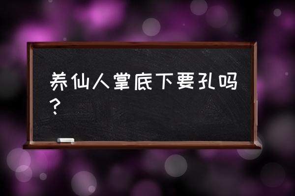 仙人掌的花盆有孔吗 养仙人掌底下要孔吗？