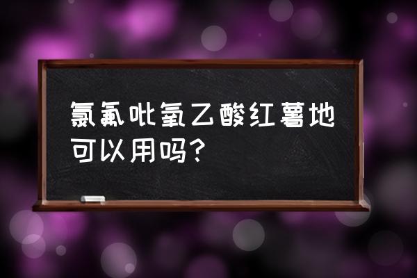 红薯苗床育苗用什么除草剂 氯氟吡氧乙酸红薯地可以用吗? 红薯苗床育苗用什么除草剂 氯氟吡氧乙酸红薯地可以用吗?