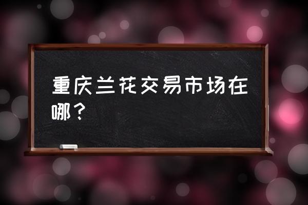 重庆兰花批发市场在哪里 重庆兰花交易市场在哪? 重庆兰花批发市场在哪里 重庆兰花交易市场在哪?