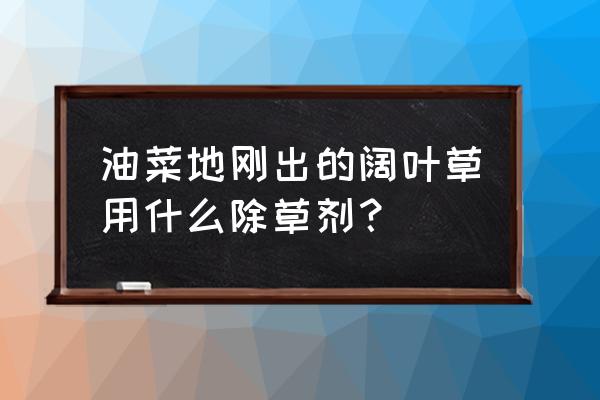 阔叶蔬菜使用什么阔叶除草剂 油菜地刚出的阔叶草用什么除草剂？