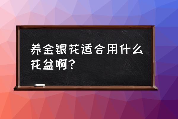 种金银花要多大花盆 养金银花适合用什么花盆啊? 种金银花要多大花盆 养金银花适合用什么花盆啊?
