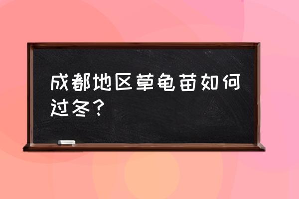 四川哪儿有草龟养殖场 成都地区草龟苗如何过冬？