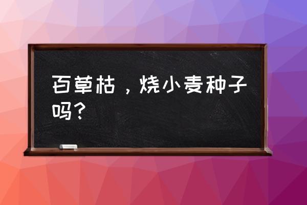 播种后可以打百草枯吗 百草枯，烧小麦种子吗？