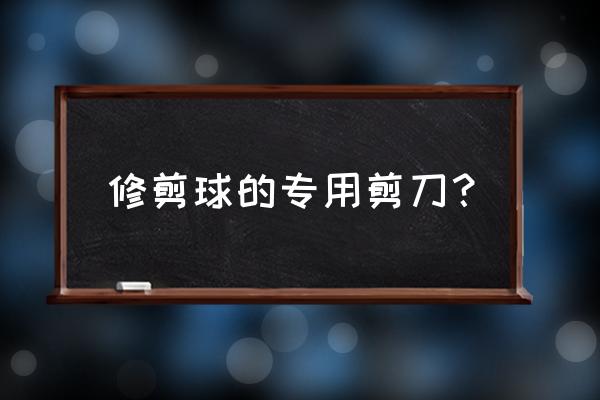 去哪里可以借到园林大剪刀 修剪球的专用剪刀？