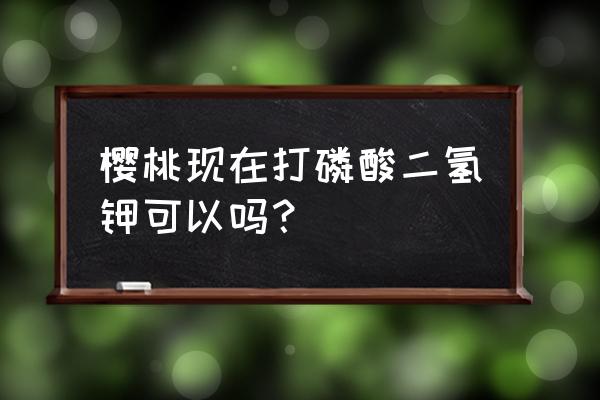 大樱桃树施什么钾肥 樱桃现在打磷酸二氢钾可以吗? 大樱桃树施什么钾肥 樱桃现在打磷酸二氢钾可以吗?
