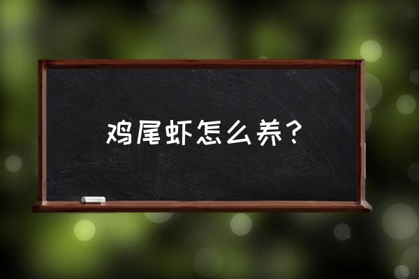 邵阳天气能养围基虾吗 鸡尾虾怎么养? 邵阳天气能养围基虾吗 鸡尾虾怎么养?