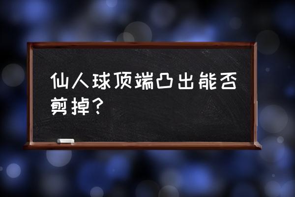 金虎仙人球能剃顶吗 仙人球顶端凸出能否剪掉? 金虎仙人球能剃顶吗 仙人球顶端凸出能否剪掉?