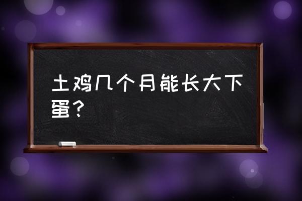 鸡吃饲料多长时间下蛋 土鸡几个月能长大下蛋？