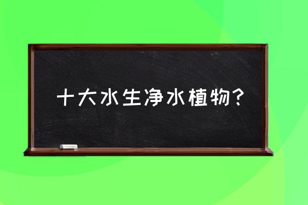 水生植物哪些有净化水质 十大水生净水植物? 水生植物哪些有净化水质 十大水生净水植物?