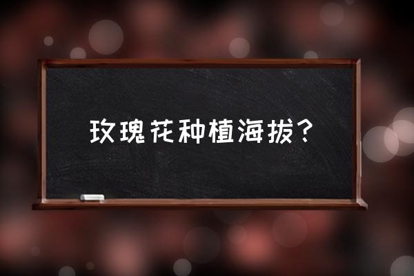 安宁玫瑰花基地怎么走 玫瑰花种植海拔? 安宁玫瑰花基地怎么走 玫瑰花种植海拔?