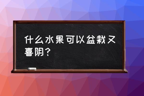 阳台花盆能种什么水果 什么水果可以盆栽又喜阴？