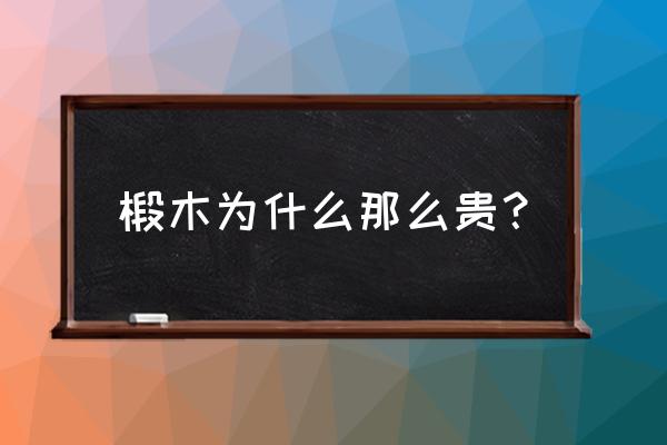 椴木原木正版值钱吗 椴木为什么那么贵？