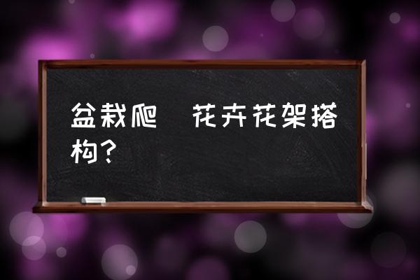拱形花架搭配爬藤植物怎么描述 盆栽爬腃花卉花架搭构? 拱形花架搭配爬藤植物怎么描述 盆栽爬腃花卉花架搭构?