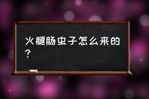火腿肠里面有虫吗 火腿肠虫子怎么来的? 火腿肠里面有虫吗 火腿肠虫子怎么来的?