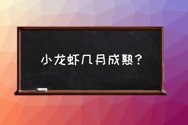 几月份小龙虾最肥 小龙虾几月成熟? 几月份小龙虾最肥 小龙虾几月成熟?
