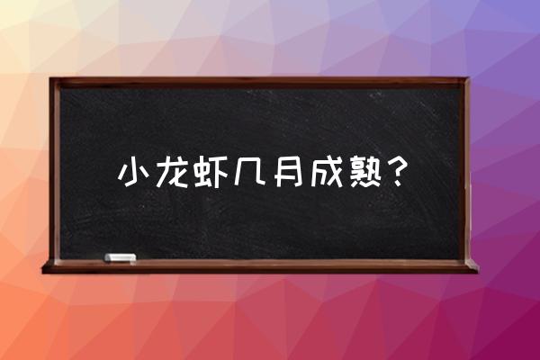 几月份小龙虾最肥 小龙虾几月成熟？