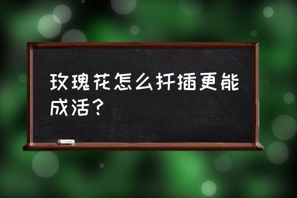 土豆扦插玫瑰土豆发芽了怎么办 玫瑰花怎么扦插更能成活? 土豆扦插玫瑰土豆发芽了怎么办 玫瑰花怎么扦插更能成活?