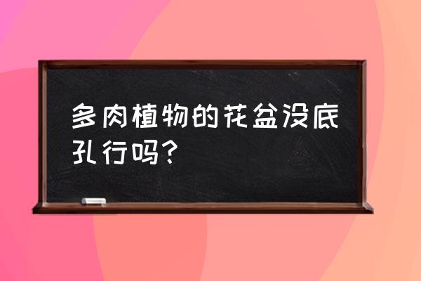 养多肉花盆没孔可以吗 多肉植物的花盆没底孔行吗? 养多肉花盆没孔可以吗 多肉植物的花盆没底孔行吗?