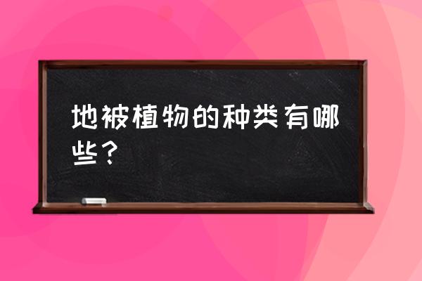 地被植物有叫玉什么的 地被植物的种类有哪些? 地被植物有叫玉什么的 地被植物的种类有哪些?