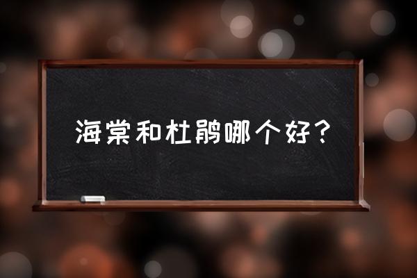 海棠花和杜鹃花哪个好养 海棠和杜鹃哪个好？