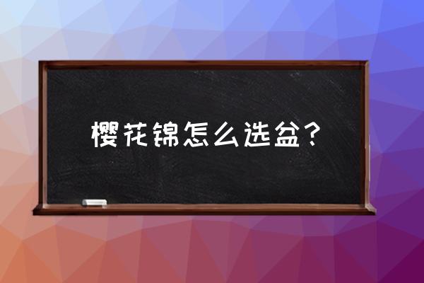 盆栽樱花如何选择花盆 樱花锦怎么选盆? 盆栽樱花如何选择花盆 樱花锦怎么选盆?