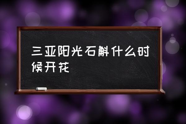 海南石斛兰养殖基地有哪些 三亚阳光石斛什么时候开花 海南石斛兰养殖基地有哪些 三亚阳光石斛什么时候开花