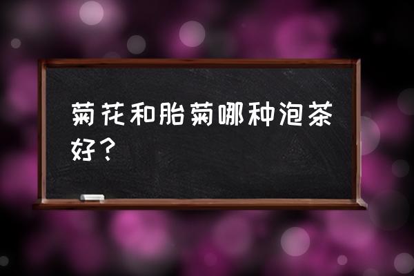 胎菊和菊花哪个好喝 菊花和胎菊哪种泡茶好? 胎菊和菊花哪个好喝 菊花和胎菊哪种泡茶好?