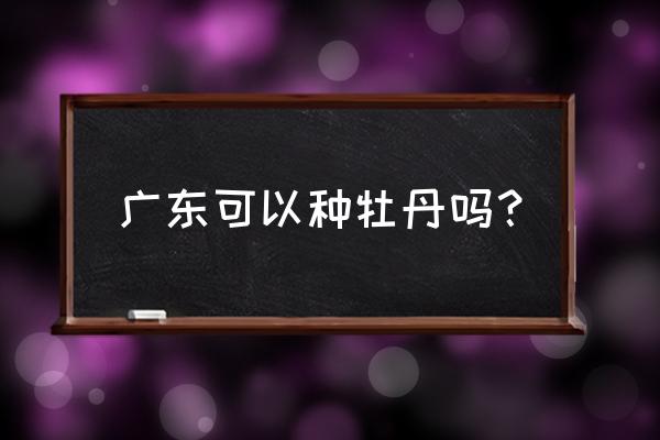 广东可以种牡丹花吗 广东可以种牡丹吗? 广东可以种牡丹花吗 广东可以种牡丹吗?