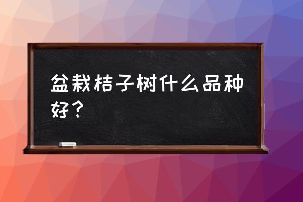 盆栽桔子品种有哪些 盆栽桔子树什么品种好? 盆栽桔子品种有哪些 盆栽桔子树什么品种好?
