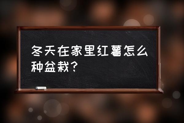 怎么给红薯盆景搭架 冬天在家里红薯怎么种盆栽? 怎么给红薯盆景搭架 冬天在家里红薯怎么种盆栽?