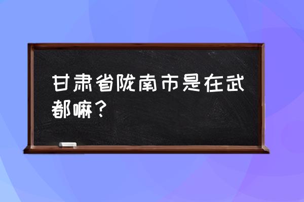 陇南市中心在哪里热闹 甘肃省陇南市是在武都嘛？