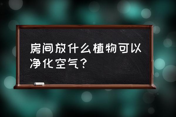 什么植物室内净化空气好 房间放什么植物可以净化空气? 什么植物室内净化空气好 房间放什么植物可以净化空气?