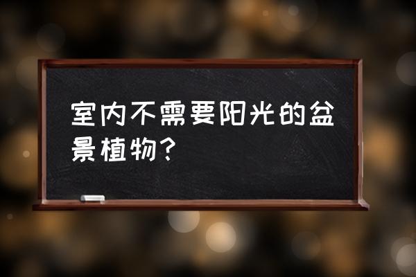 什么盆景适合没有阳光 室内不需要阳光的盆景植物？