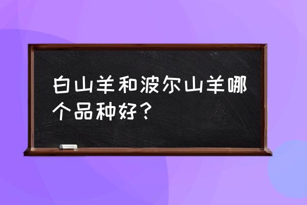 波尔山羊和白山羊现在哪个好 白山羊和波尔山羊哪个品种好？